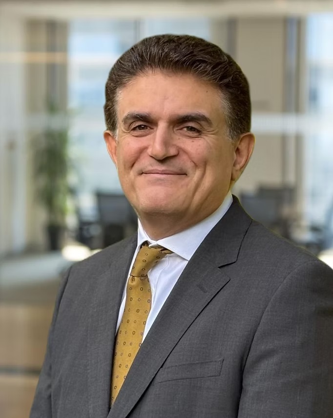 Professor Saeed Mirsadraee